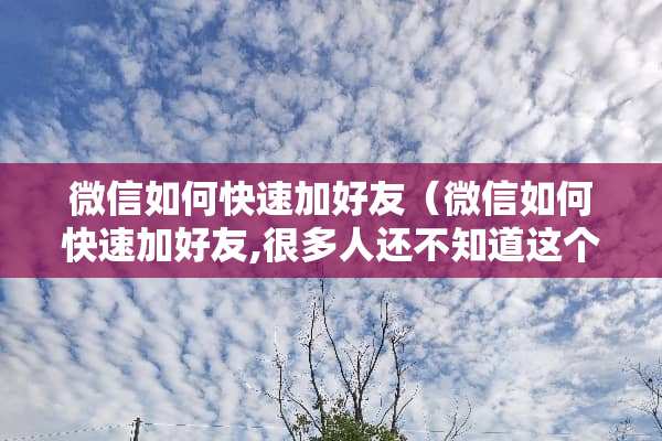 微信如何快速加好友（微信如何快速加好友,很多人还不知道这个功能,太棒了!）