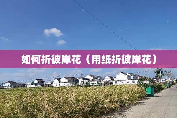 如何折彼岸花（用纸折彼岸花）