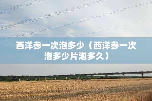 西洋参一次泡多少（西洋参一次泡多少片泡多久）