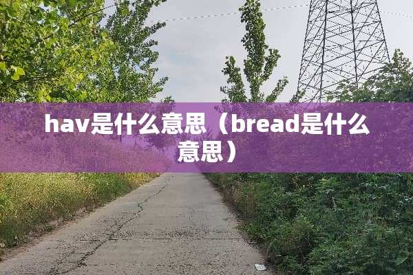 hav是什么意思（bread是什么意思）