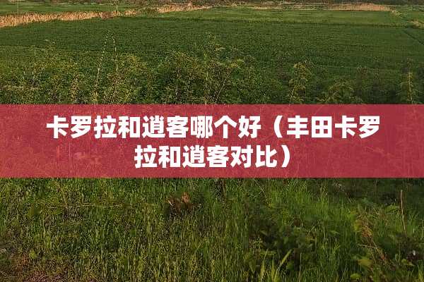 卡罗拉和逍客哪个好（丰田卡罗拉和逍客对比）