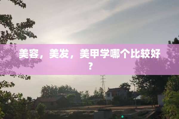 美容，美发，美甲学哪个比较好？