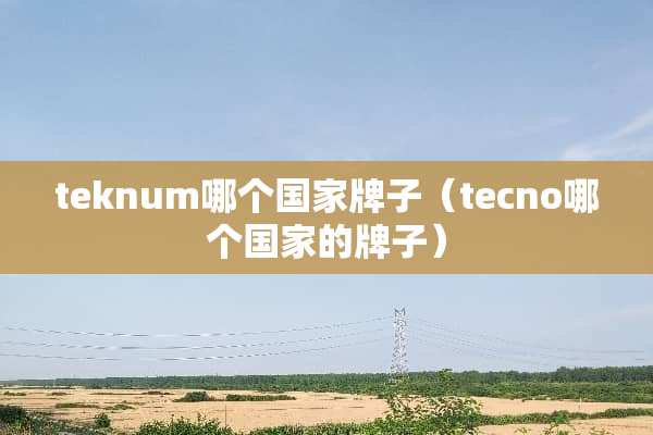 teknum哪个国家牌子（tecno哪个国家的牌子）