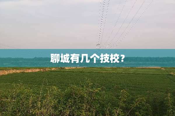 聊城有几个技校？