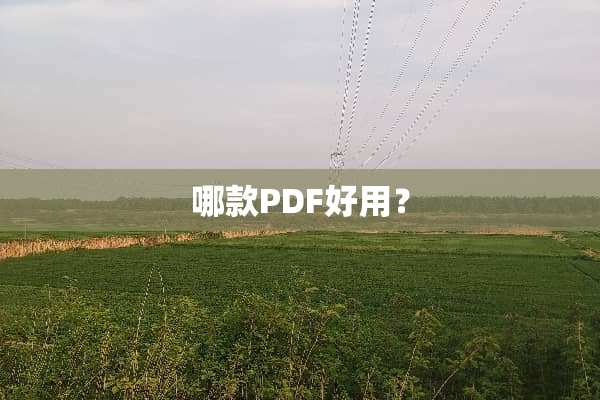 哪款PDF好用？