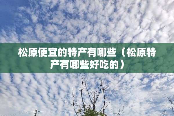 松原便宜的特产有哪些（松原特产有哪些好吃的）