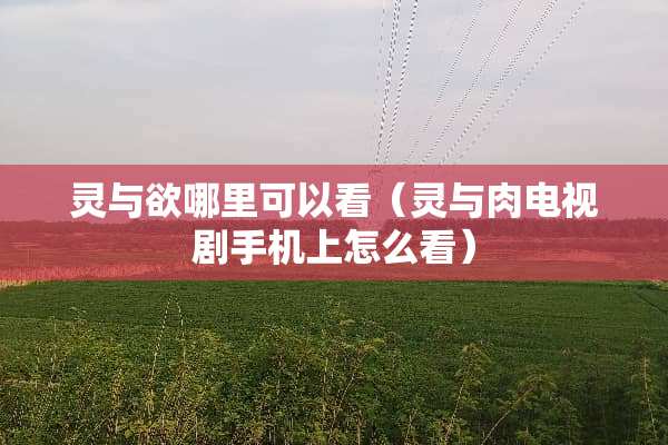 灵与欲哪里可以看（灵与肉电视剧手机上怎么看）