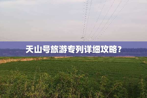 天山号旅游专列详细攻略？