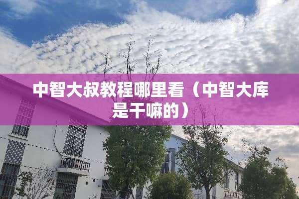 中智大叔教程哪里看（中智大库是干嘛的）