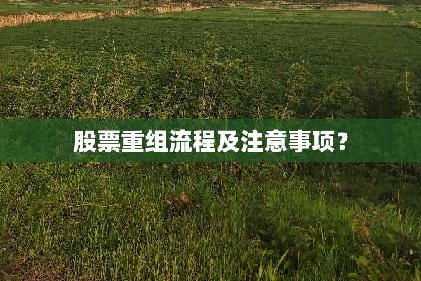 股票重组流程及注意事项？