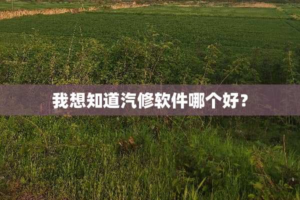 我想知道汽修软件哪个好？