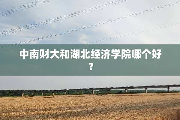 中南财大和湖北经济学院哪个好？