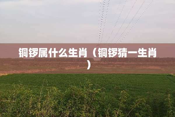 铜锣属什么生肖（铜锣猜一生肖）