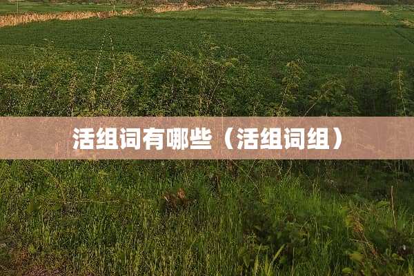 活组词有哪些（活组词组）