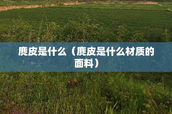 麂皮是什么（麂皮是什么材质的面料）