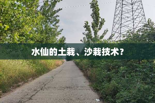 水仙的土栽、沙栽技术？