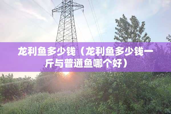龙利鱼多少钱（龙利鱼多少钱一斤与普通鱼哪个好）