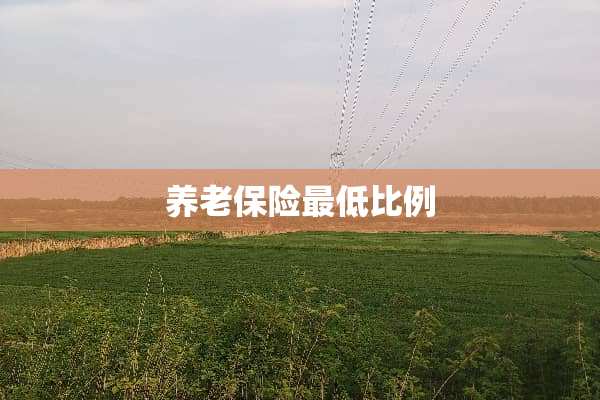养老保险最低比例