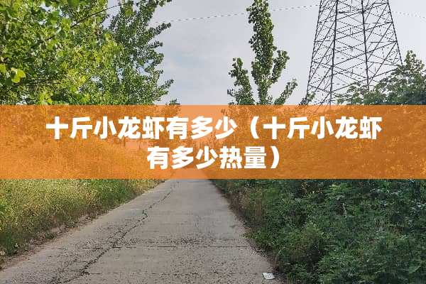 十斤小龙虾有多少（十斤小龙虾有多少热量）