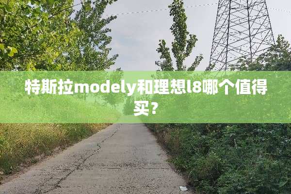 特斯拉modely和理想l8哪个值得买？