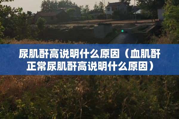 尿肌酐高说明什么原因（血肌酐正常尿肌酐高说明什么原因）