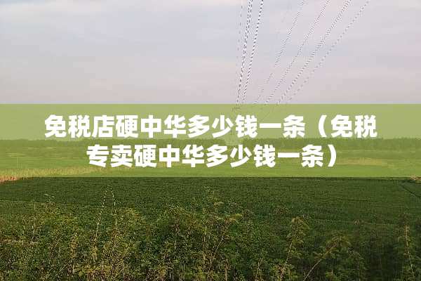 免税店硬中华多少钱一条（免税专卖硬中华多少钱一条）