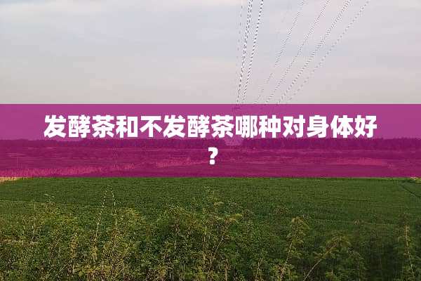 发酵茶和不发酵茶哪种对身体好？