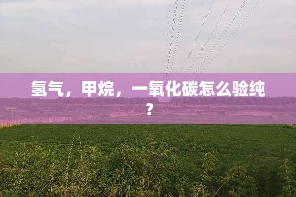 氢气，甲烷，一**碳怎么验纯？
