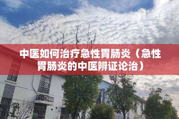 中医如何治疗急性胃肠炎（急性胃肠炎的中医辨证论治）