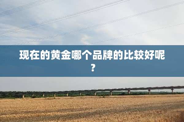 现在的黄金哪个品牌的比较好呢？