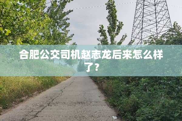合肥公交司机赵志龙后来怎么样了？