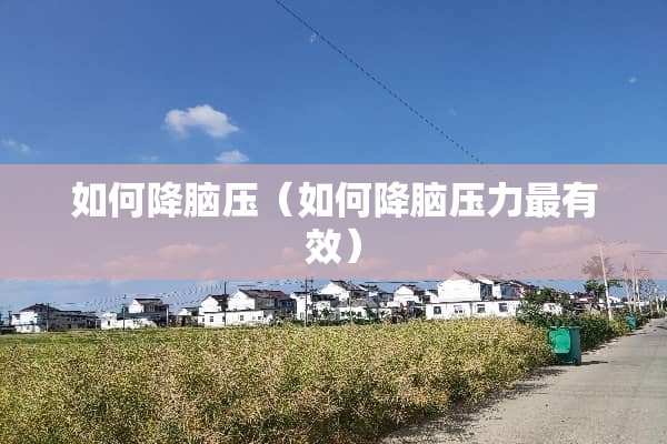 如何降脑压（如何降脑压力最有效）