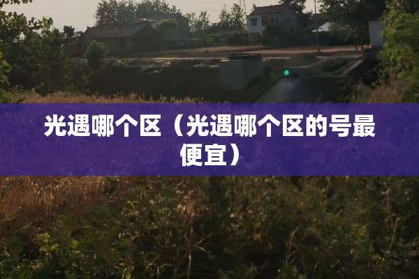 光遇哪个区（光遇哪个区的号最便宜）