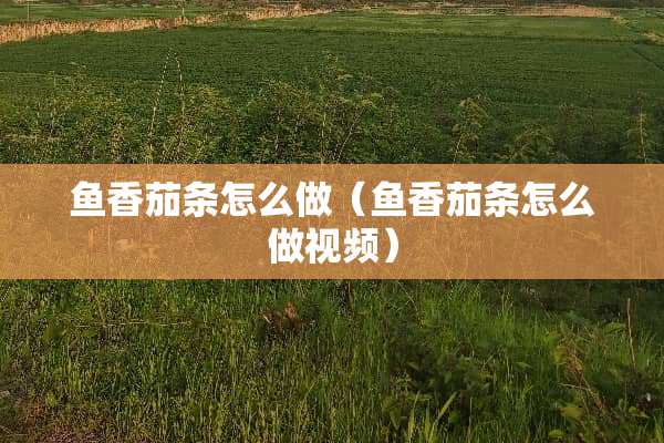 鱼香茄条怎么做（鱼香茄条怎么做视频）