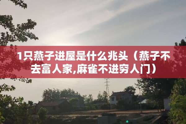 1只燕子进屋是什么兆头（燕子不去富人家,麻雀不进穷人门）