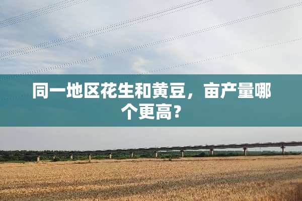 同一地区花生和黄豆，亩产量哪个更高？