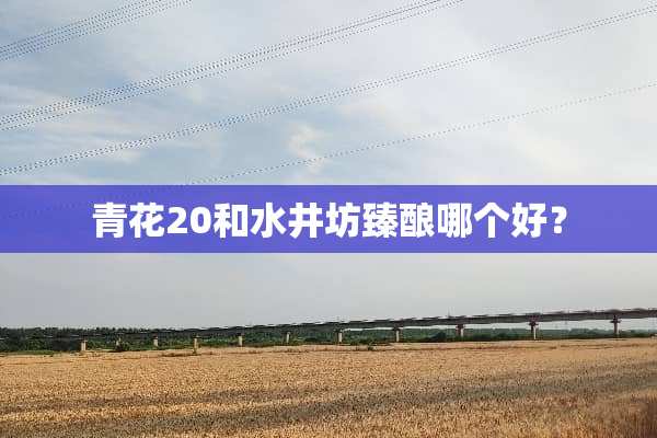 青花20和水井坊臻酿哪个好？