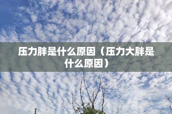压力胖是什么原因（压力大胖是什么原因）