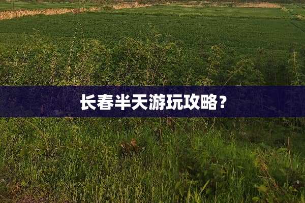 长春半天游玩攻略？