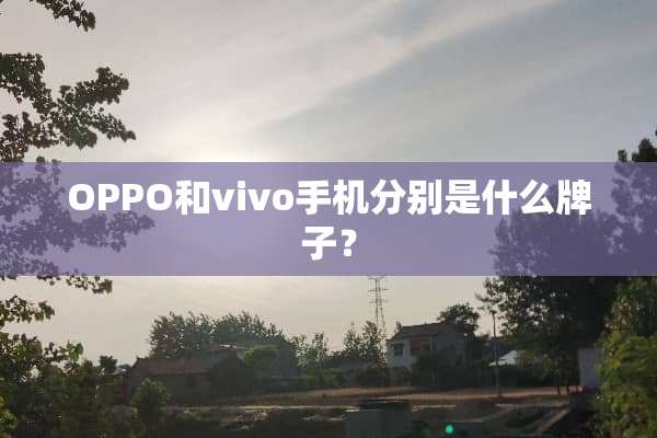 OPPO和vivo手机分别是什么牌子？