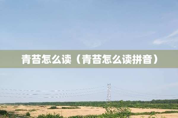 青苔怎么读（青苔怎么读拼音）