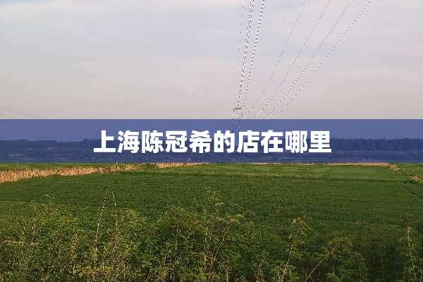 上海陈冠希的店在哪里