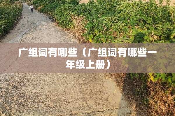 广组词有哪些（广组词有哪些一年级上册）