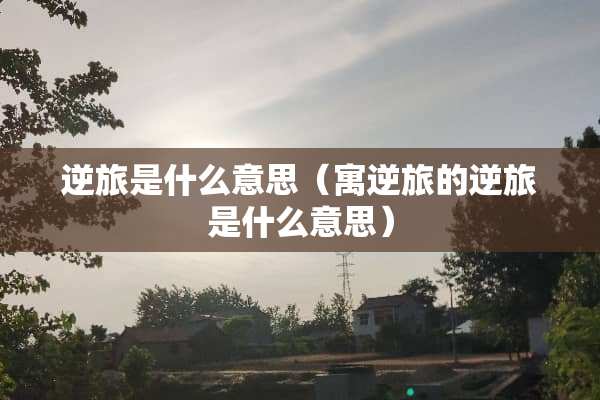 逆旅是什么意思（寓逆旅的逆旅是什么意思）