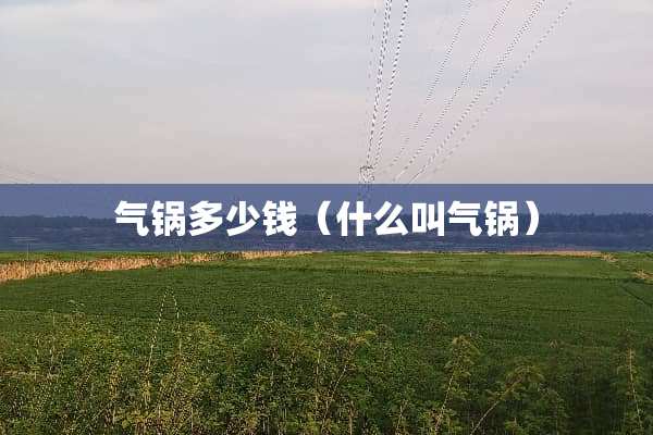 气锅多少钱（什么叫气锅）