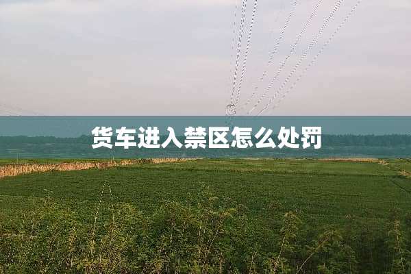 货车进入禁区怎么处罚