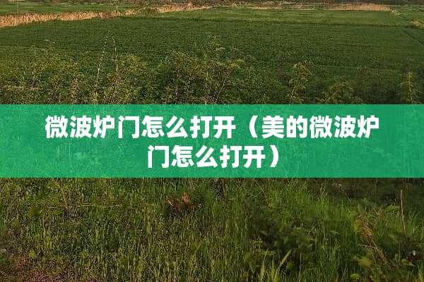 微波炉门怎么打开（美的微波炉门怎么打开）