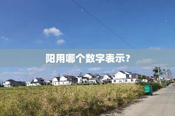 阳用哪个数字表示？