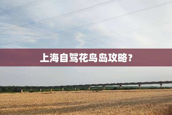 上海自驾花鸟岛攻略？