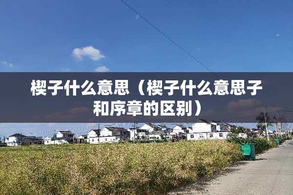 楔子什么意思（楔子什么意思子和序章的区别）